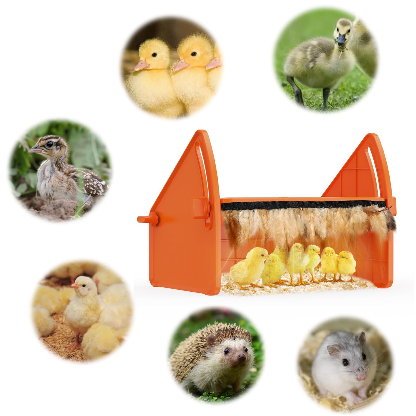Heating Brooder Plate for Chicks Ducklings, Adjustable 3 Levels Temperature Brooder House for Keeping Poultry Warm(Orange, L)