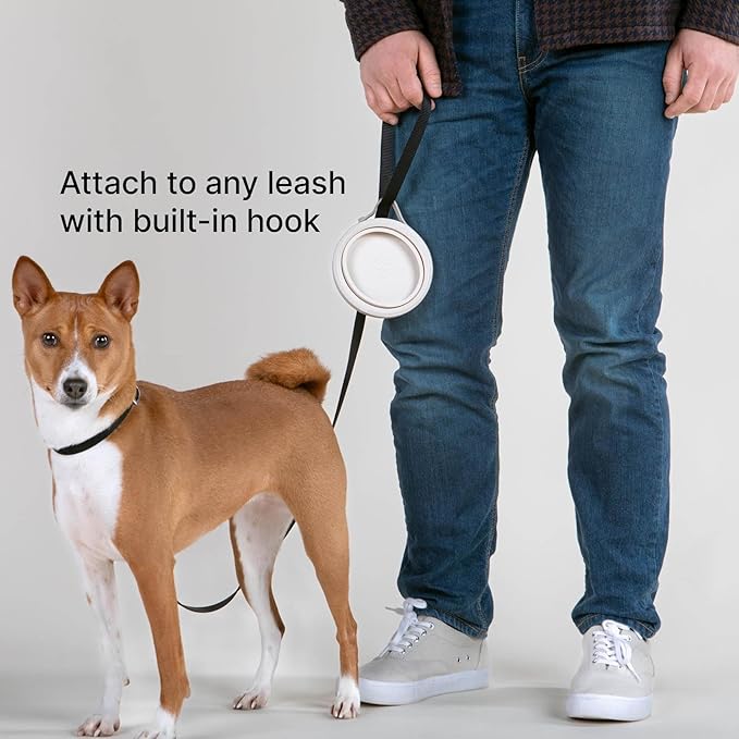 Cleverpup Nomad Small Collapsible Travel Dog Bowl - 2 Cup BPA-Free Silicone for Small & Medium Dogs, Portable, Sturdy, Food & Water, Dishwasher Safe - Sand