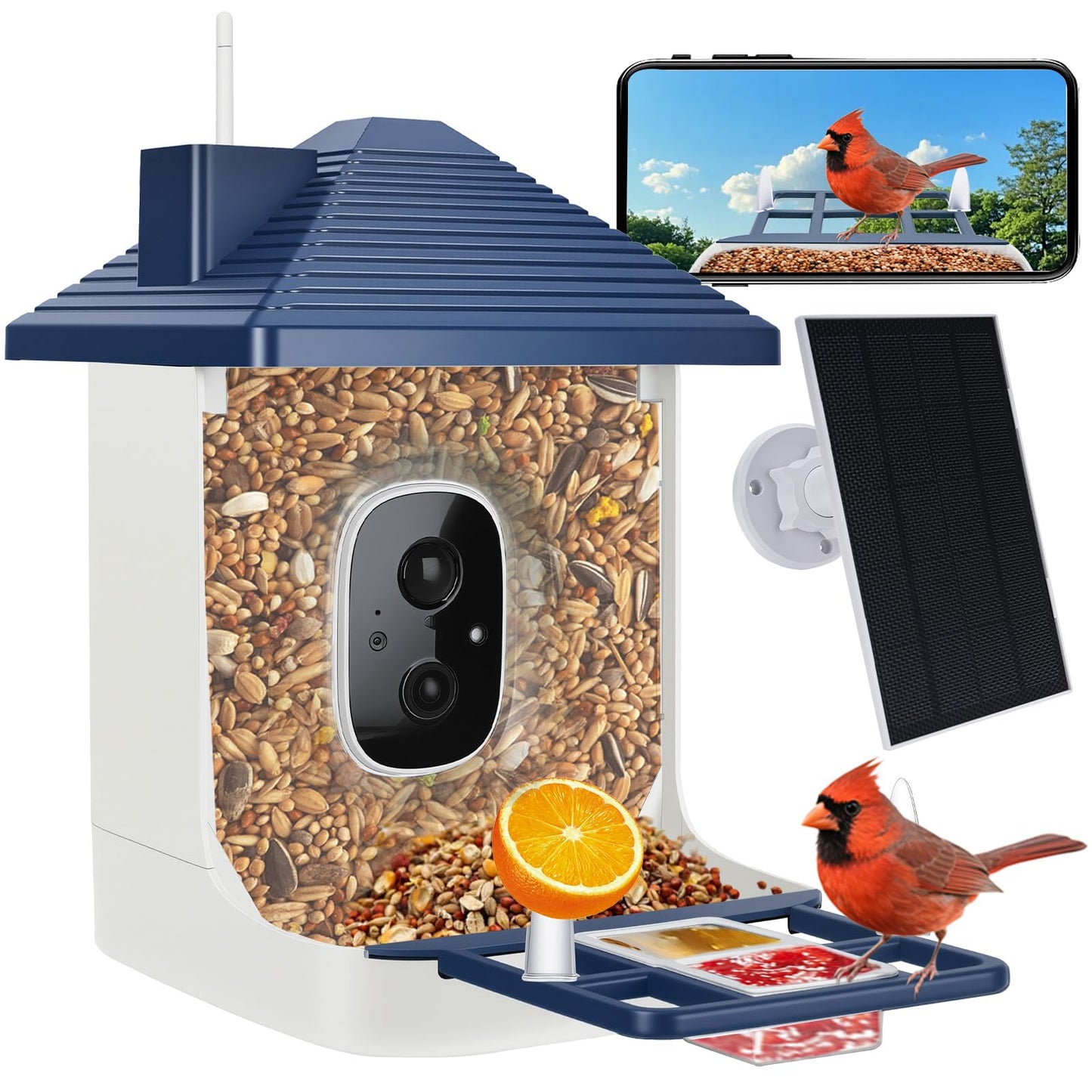 Smart Bird Feeder with Camera,AI Identify Species,Bird House with Solar Powered,Instant Arrival Alerts,2K HD Capture Video Live View,Gift for Birds Lover (Indigo Blue)