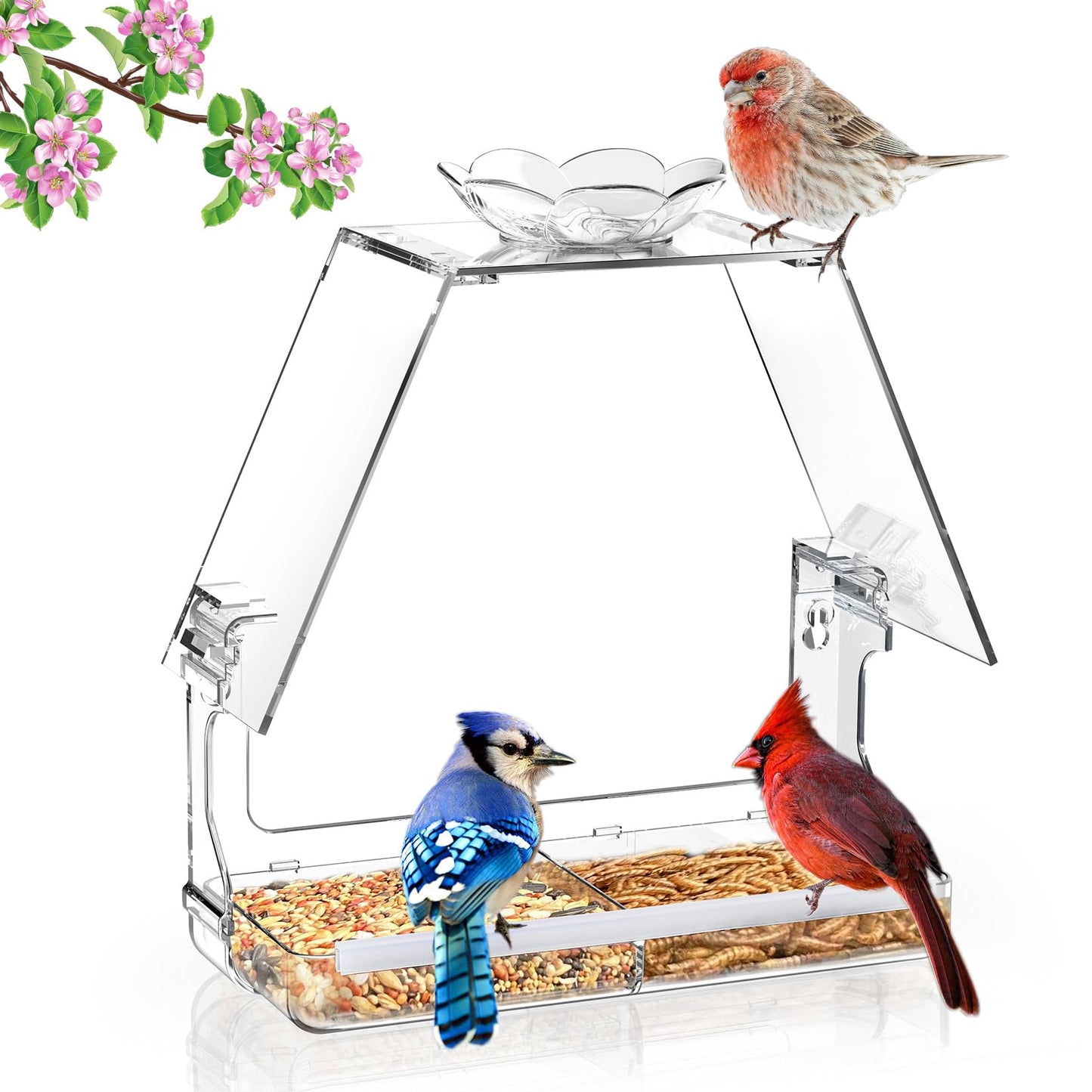 WENMIXER Window Bird Feeder with Non-Marking Self-Adhesive Hooks, Clear and Transparent, Outdoor Wild Bird Watching Gift, Garden Decor (with Large Window)
