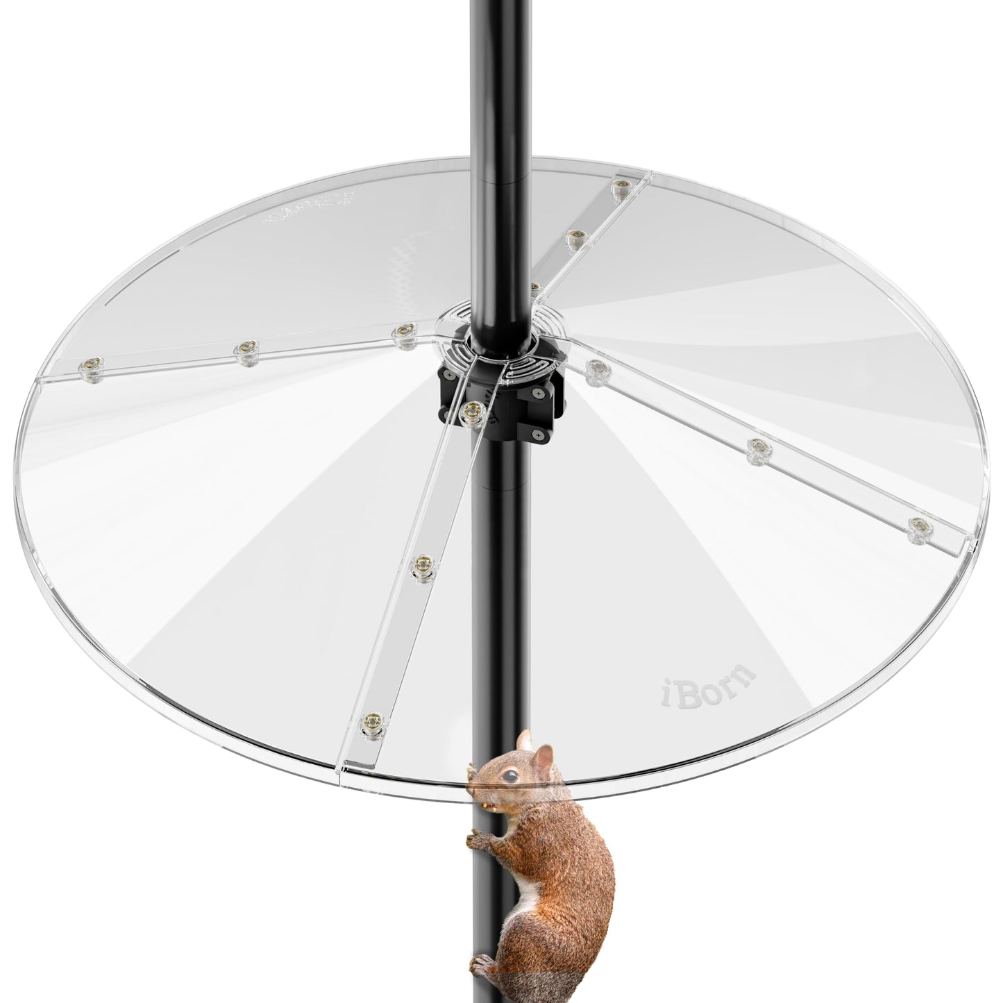 iBorn Squirrel Baffle for Bird Feeder Pole, 19.5â Oversized Squirrel Guard Defender, Bird Feeder for Outdoors Protector, Polycarbonate(PC), Pack of 1, Clear