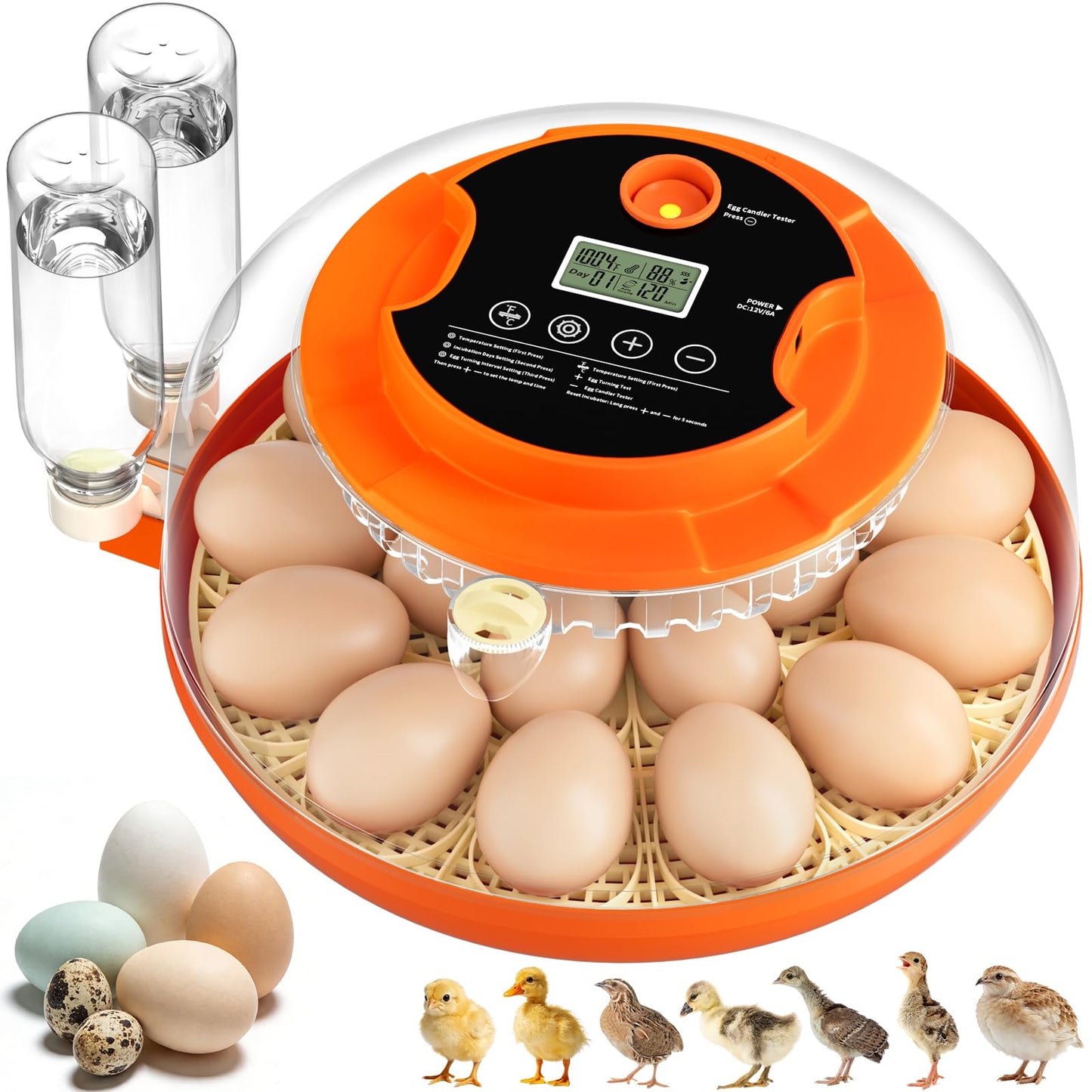 18 Egg Incubators for Hatching Eggs, Automatic Egg Turning and Humidity Control Incubator for Hatch Chicken Duck Quail Pigeon Pheasant Partridge Home Classroom Lab-