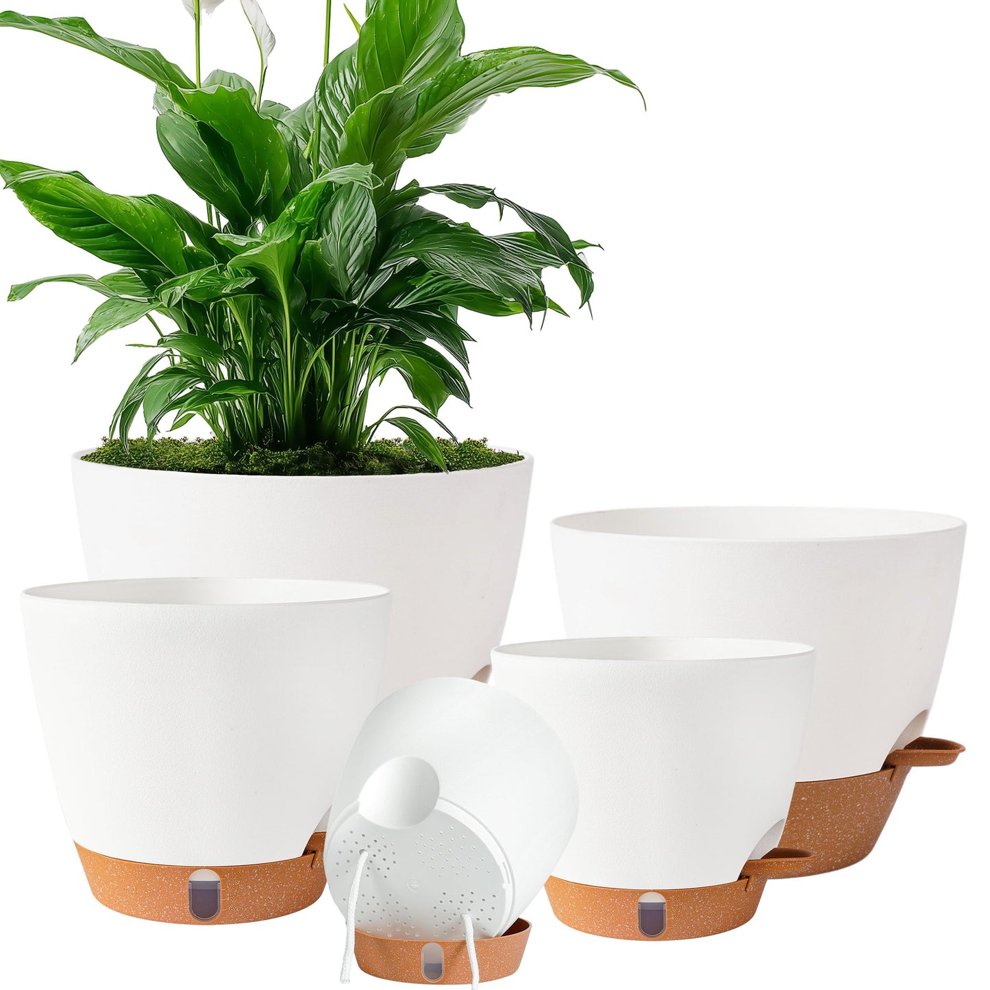 Fielda Self Watering Pots for Inoor Ourdoor Plants 10/9/8/7/6.5 Inch Plastic Planters with Drainage Holes & Water Level Indicator, Decorative House Flower Nursery Planting Pots with Saucers (White)