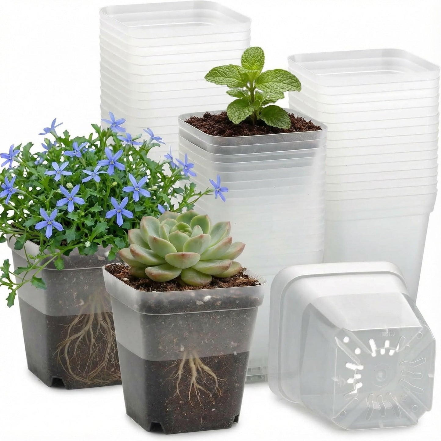 RooTrimmer 60 Pcs Clear Square Nursery Pots 4 Inch, Reusable Seedling Pots with Drainage Holes, Transparent Small Plant Potting Pot Containers for Seedlings Microgreens, Flowers, Indoor Gardening