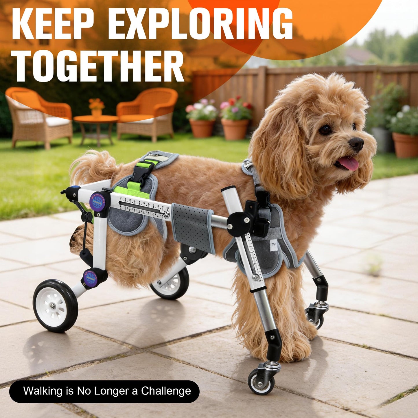 LetPetRun Dog Wheelchair 4 Wheels Adjustable, Full Body Support Dog Cart for Front & Rear Legs, Lightweight Mobility Aid for Disabled Small Dogs (XSLW for 17.5-33.5lbs)