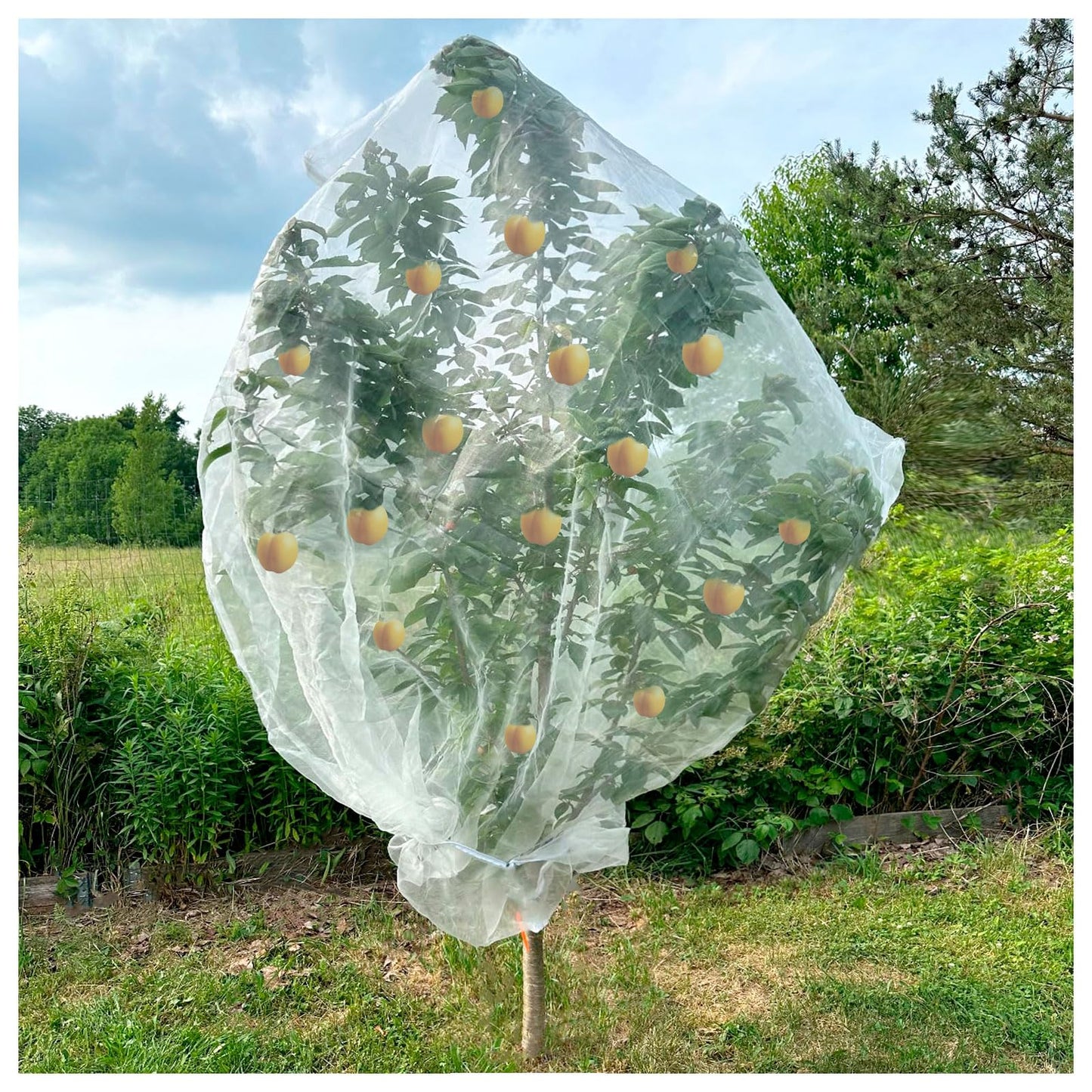 4Pcs Insect Bird Barrier Mesh, 7.9 x 5.9 FT Garden Netting Barrier, Bird Netting, Netting for Plant with Drawstring, Tomato Protective Cover