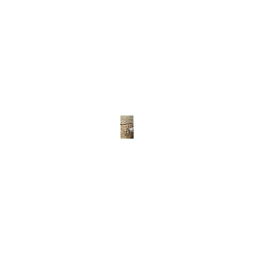 SHDIATOOL Diamond Mortar Raking Bit 5/16-inch x 4-inch and 5/16-inchx1-inch for Brickwork Joint Mortar Removal and Tuck Pointing Granite Marble Masonry Stone (2 Pack)