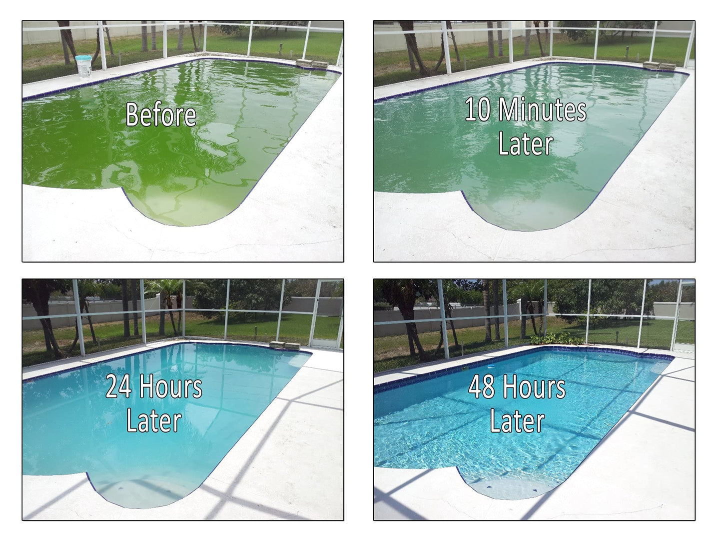 REVIVE! Swimming Pool Phosphate and Algae Remover Chemical for Pools - 32 oz