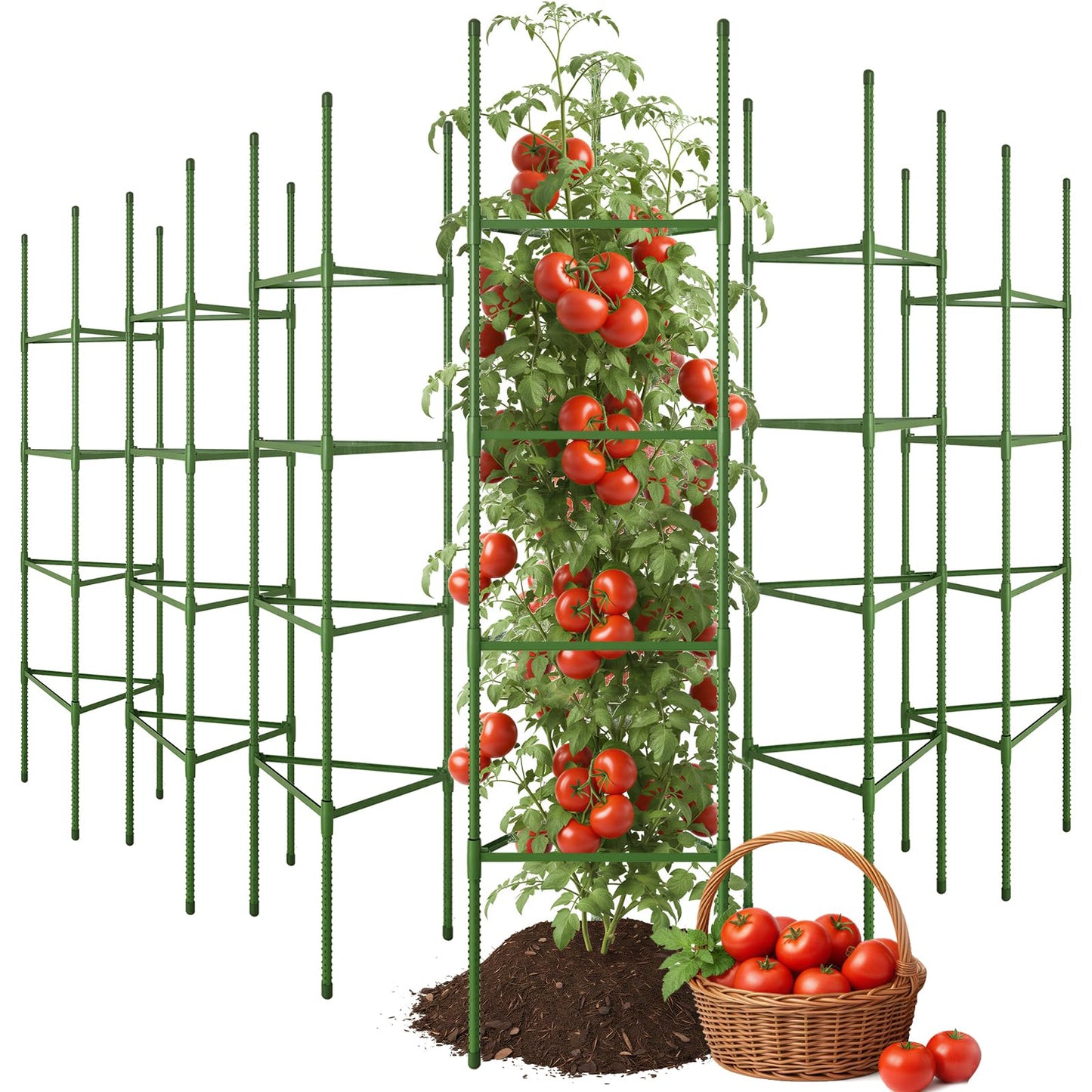 CEWOR Tomato Cage - 6 Pack Tomato Trellis, 63 Inch Extra Tall Tomato Cages for Garden, Plant Support Garden Stakes Triangle Structures for Climbing Plants Outdoor, Pots, Raised Garden Bed, Vegetables