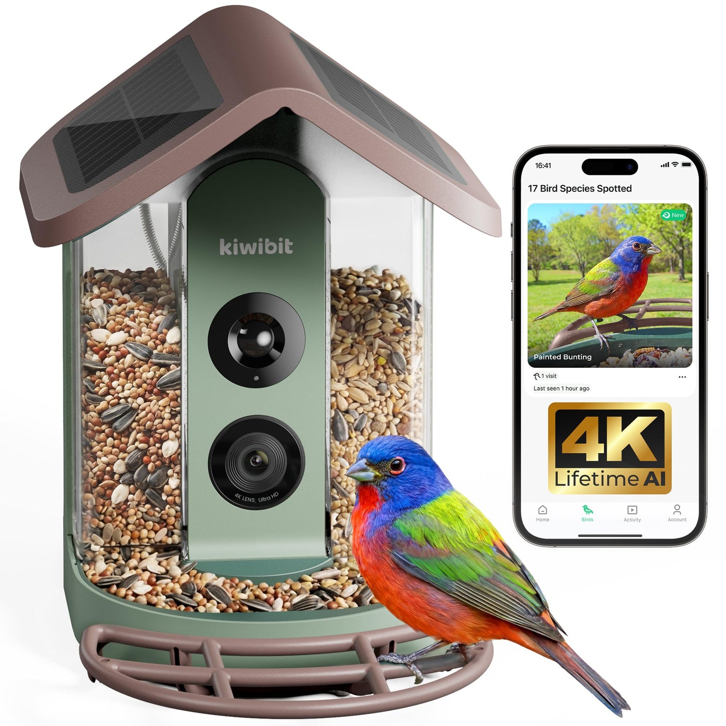 Kiwibit Solar Smart Bird Feeder with Camera No Subscription, AI Bird Species Identification, 4K HD Live Video & 8MP Photos, Wireless Outdoor Wild Bird Watching Gifts for Bird Lovers, Brown