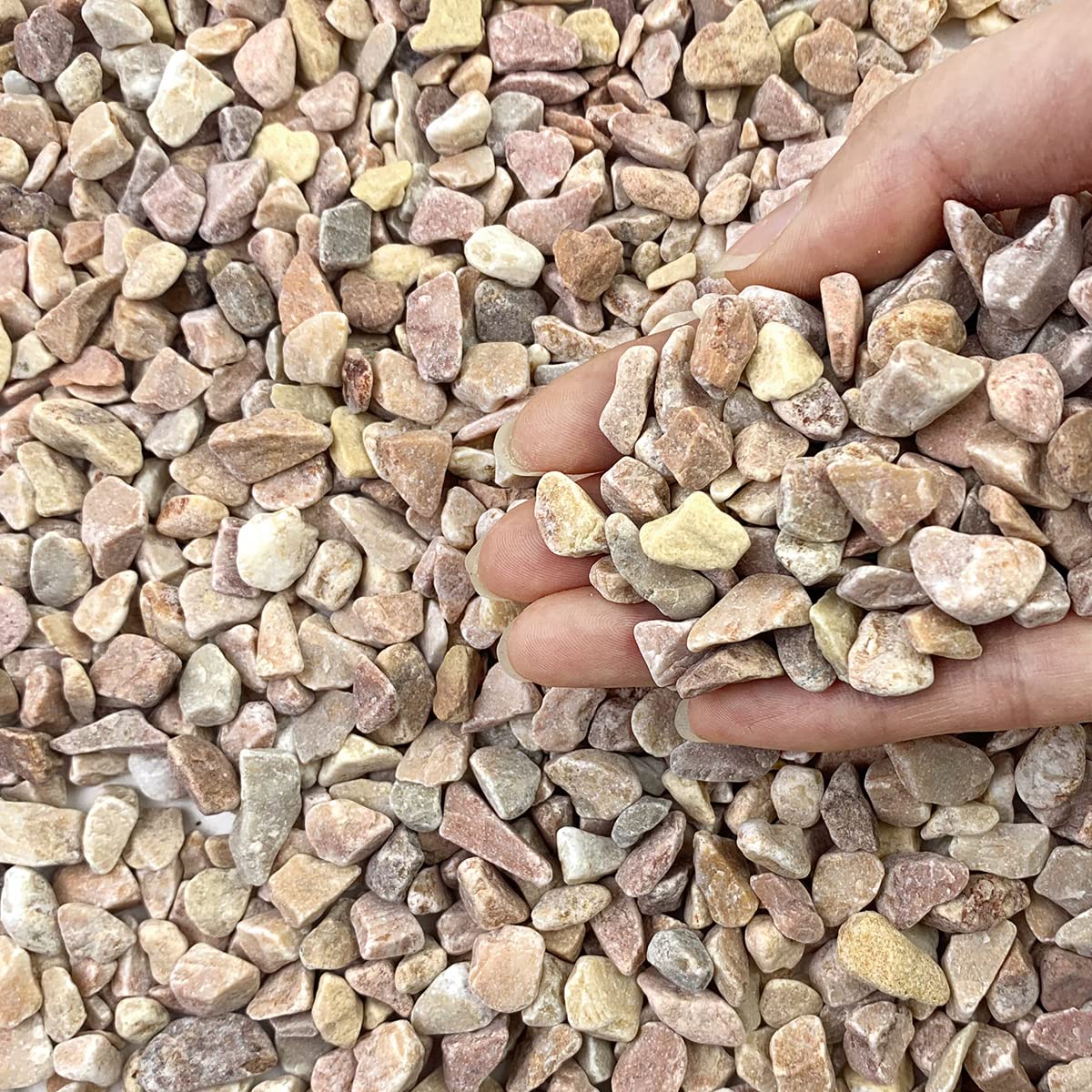 FANTIAN 10 LB Natural Pea Gravel Small Pebbles - 3/8 Inch Decorative Pebbles for Indoor Plants,Terrarium Rocks, Outdoor Decorative Rocks, Vase, Succulent Rocks, Aquarium Gravel and Landscaping Rocks