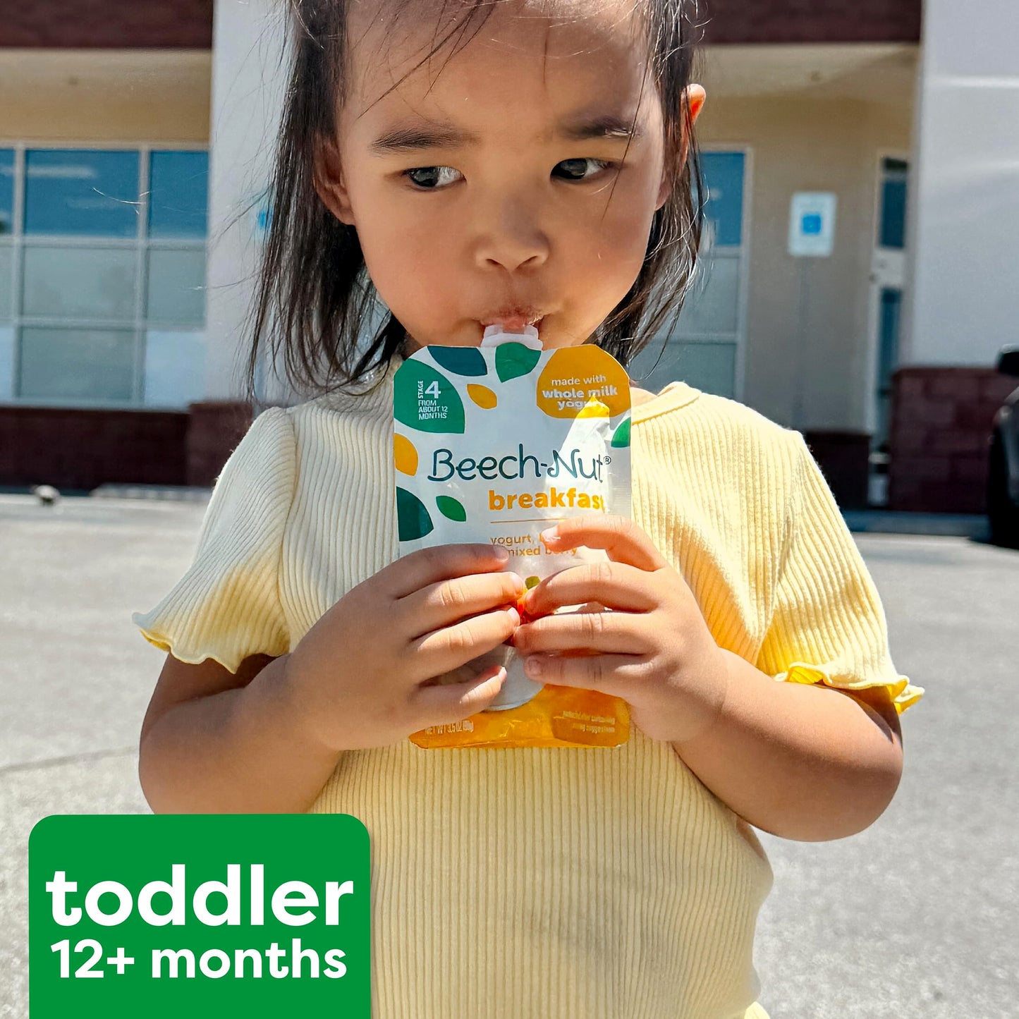 Beech-Nut Toddler Food Breakfast Pouches,Yogurt Banana & Strawberry Puree, 3.5 oz (12 Pack)