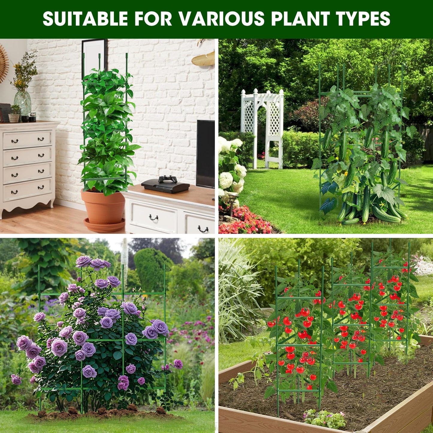 MQHUAYU 3 Pack Tomato Cages for Garden,Up to 51.2Inch Tomato Cage Trellis-Upgraded Hexagon Connector,Heavy Duty Adjustable Tomato Stake Support for Raised Garden Bed