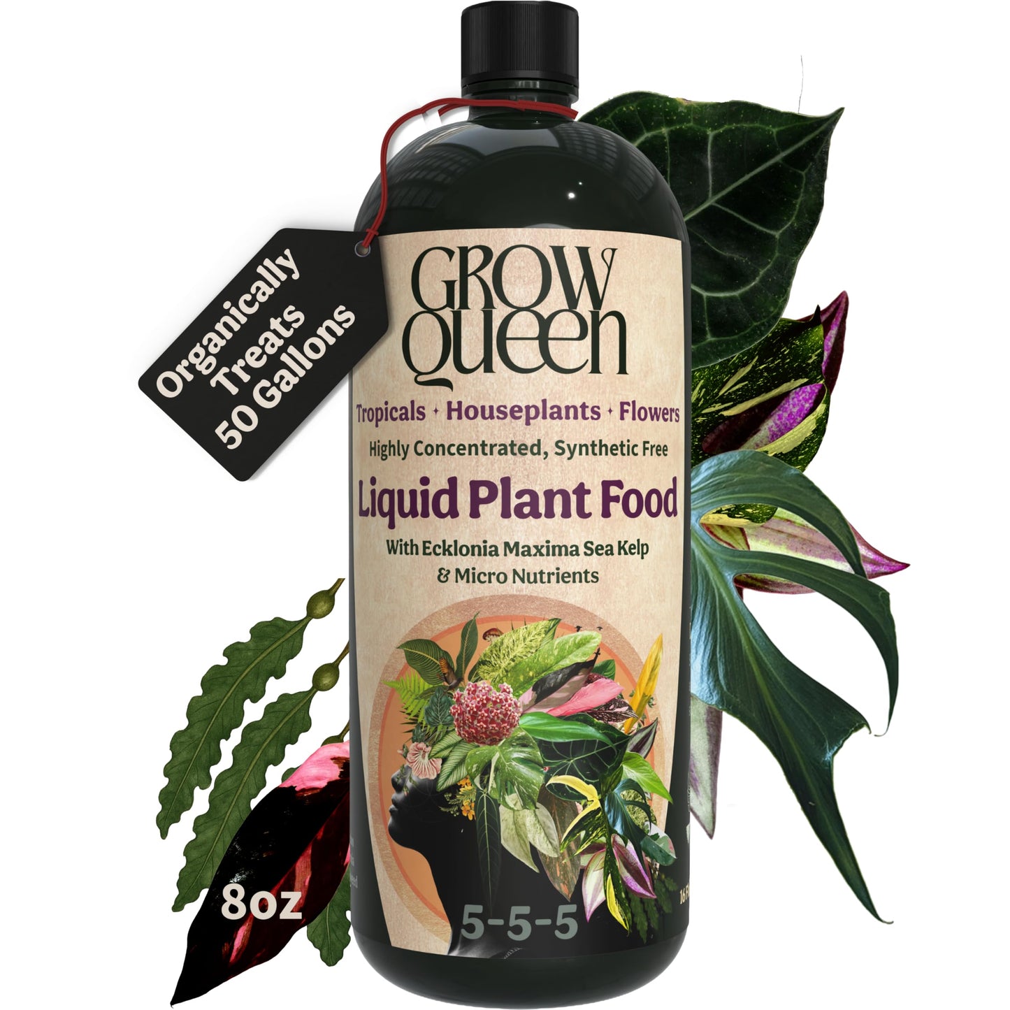Grow Queen Organic Liquid Indoor Plant Food, Houseplant, Tropical & All-Purpose Indoor Plant Fertilizer, Organic Liquid Fertilizer 5-5-5 with Sea Kelp, 8oz Treats 50 Gallons