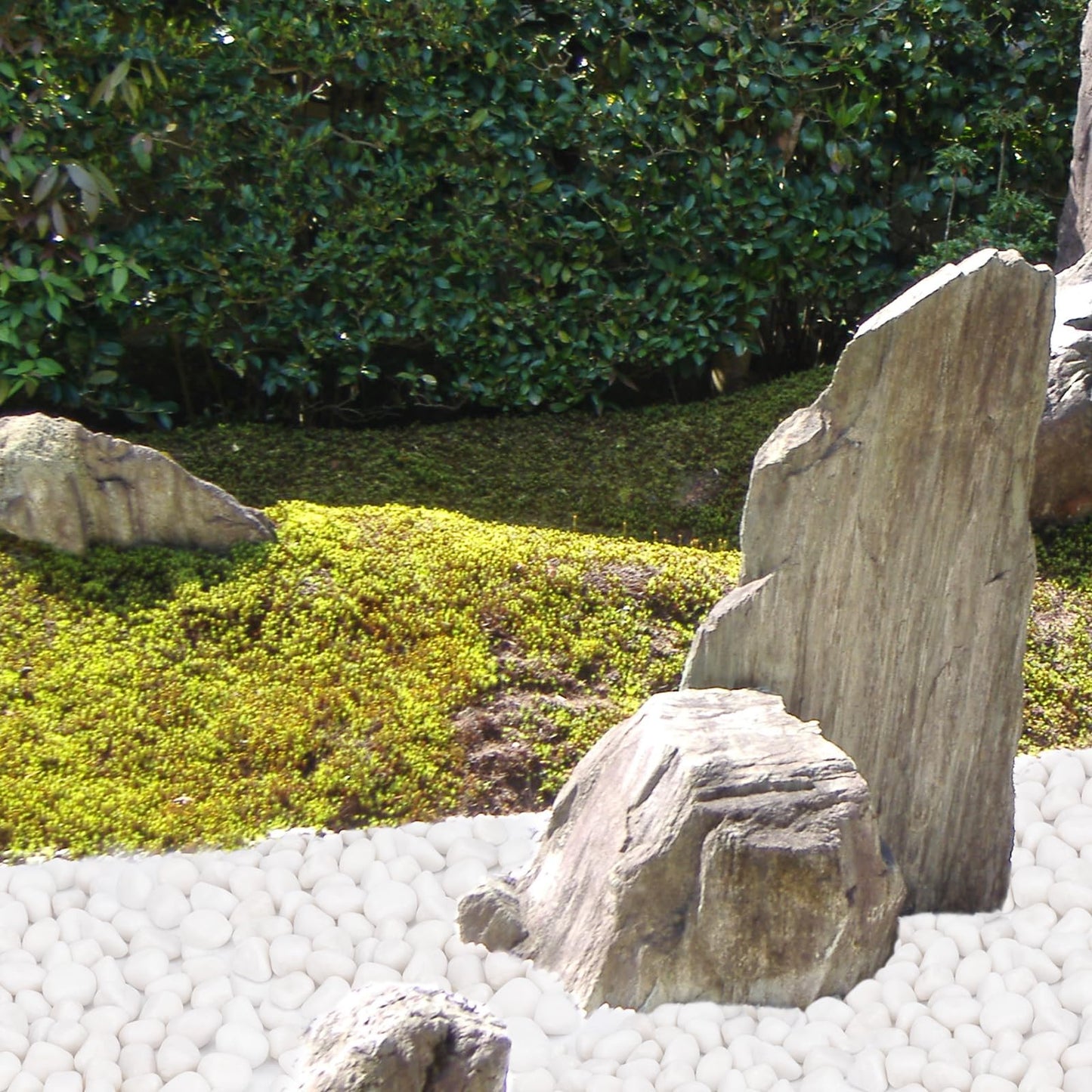Pulovin 15 lbs White Rocks for Landscaping, 1-2 inch Large White Rocks for Plants, Decorative Polished Stones for Garden, Walkways, Yard, Plants Pots, Vases, Crafts