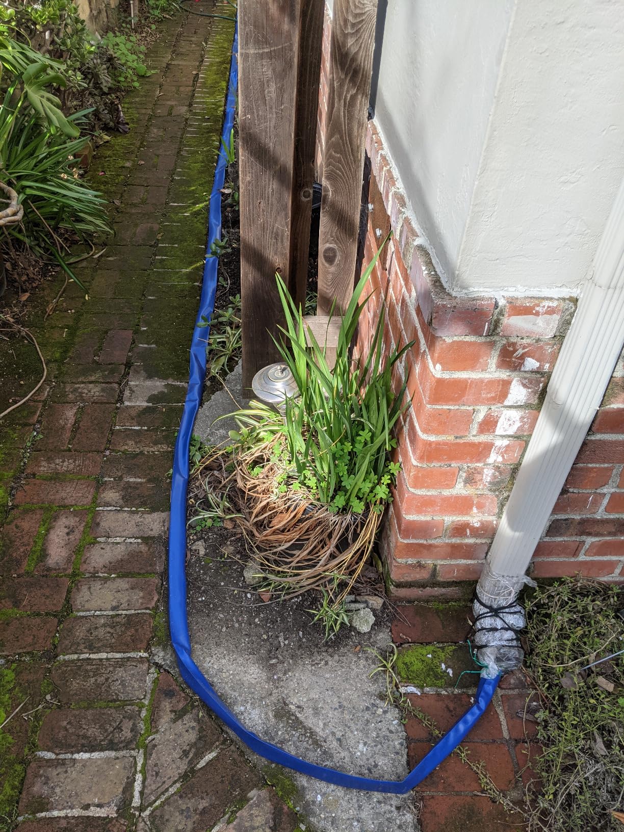 3 in x 25 ft Pool Backwash Hose Heavy Duty Drain Discharge Double PVC Lay flat General Purpose Vinyl Hose, Burst Resistant for Water Transfer Sump Pump Pool Filter (3in 25ft fiber reinforced hose)
