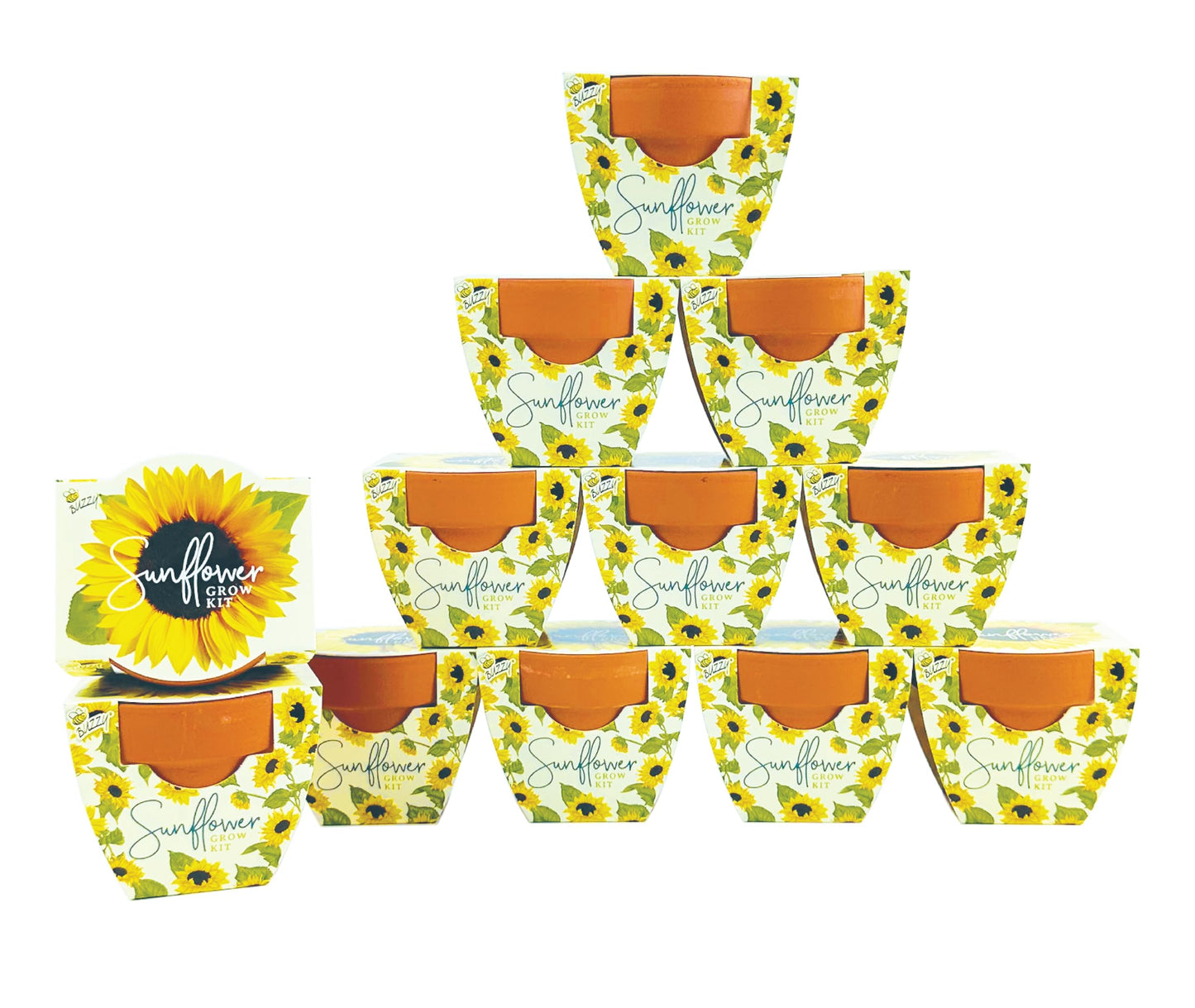 BUZZY Seeds All-in-One Sunflower Mini Terracotta Pot Grow Kits 12-Pack, Indoor Mini Garden Seed Starter, Grow Your Own Vibrant Flowers, DIY Plant Project, Gardening Gift, Party Favors