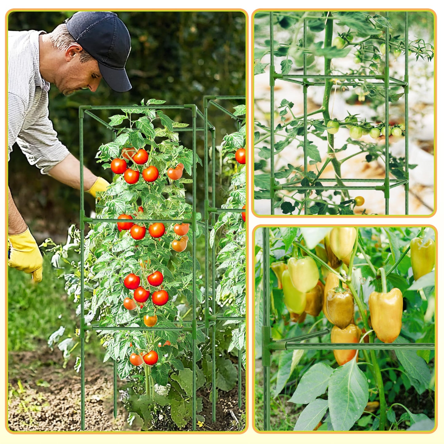 SORANGEUN 3 Pack Square Tomato Cages for Garden - 42 Inch Heavy Duty Tomato Plant Support Stakes, Sturdy Metal Core with Rust-Resistant Coating, Tomato Trellis for Raised Beds