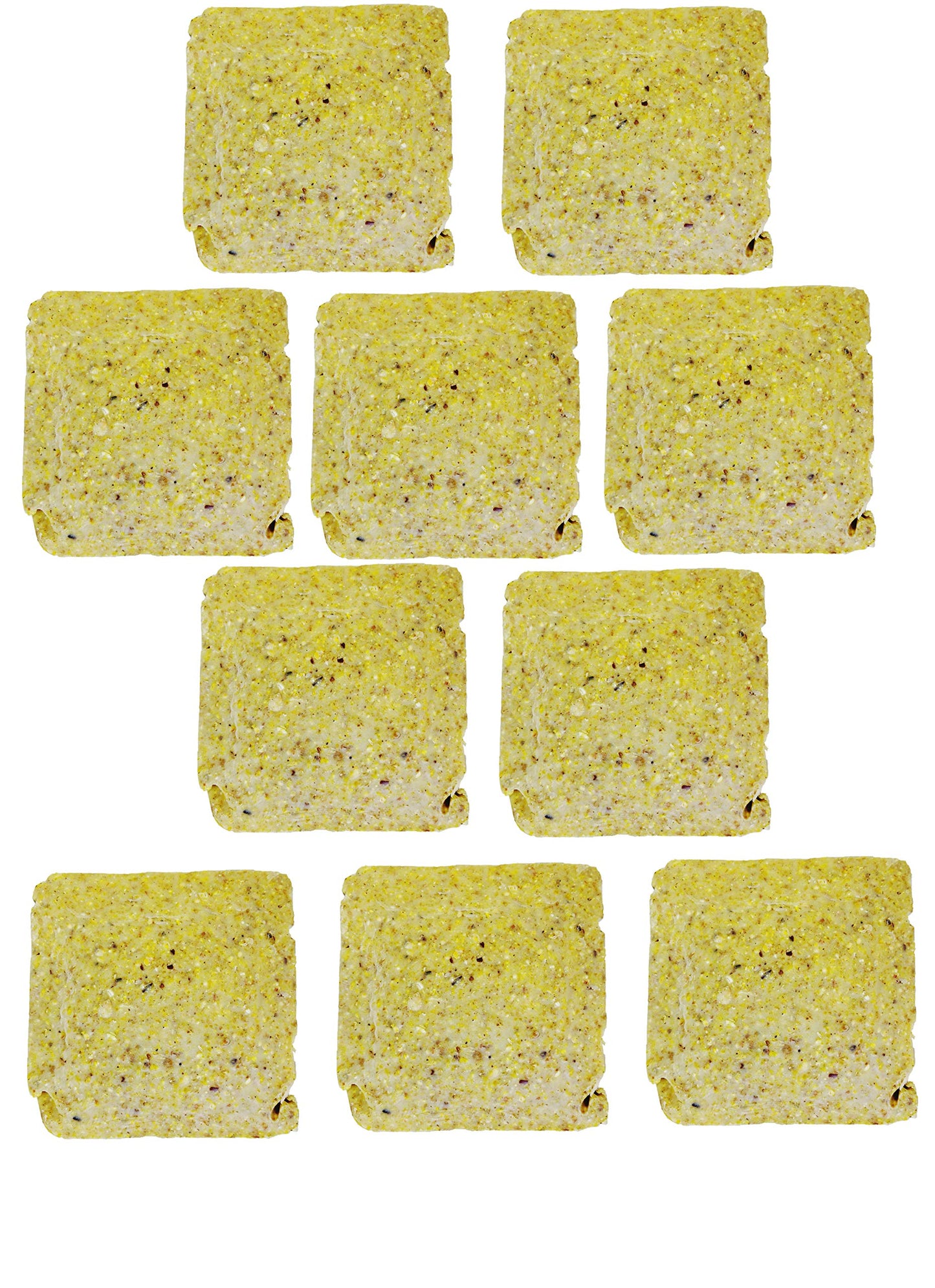 ST. ALBANS BAY SUET PLUS Suet Cake Variety Packs | 11 oz. Wild Bird Suet Cakes | (Pecan, 10 Pack)