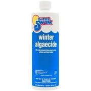 In The Swim Winter Swimming Pool Algaecide - 1 Quart