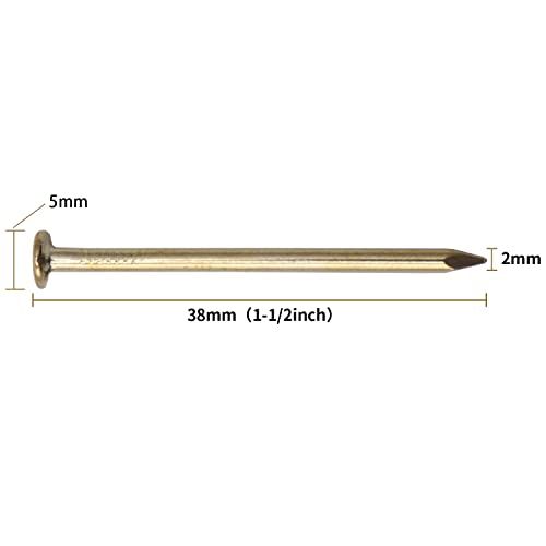 240pcs Gold Hardware Nails, 1-1/2¡± ¡¿ 14 Ga Brass Plated Wood Nails, Nails for Hanging Wall Decor, Finishing Nails, Picture Hanging Nails, Wall Nails, Roofing Nails