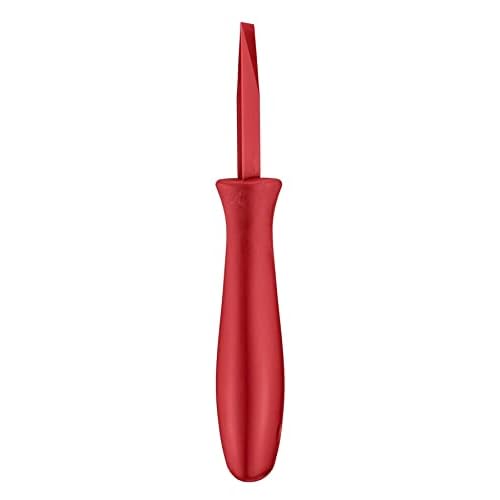 Kuplus 2PCS Plastic Scraper Chisel