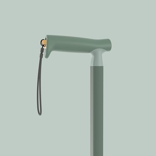 Michael Graves Streamline Cane
