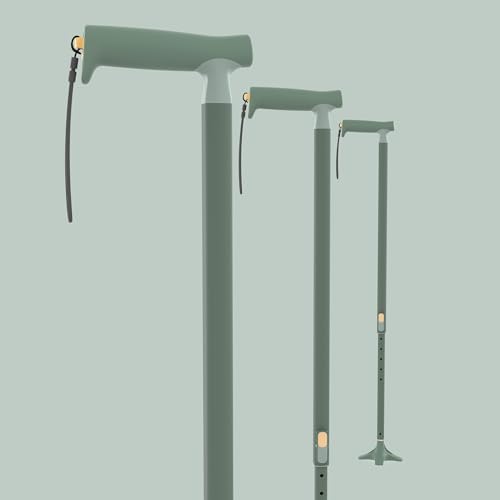 Michael Graves Streamline Cane