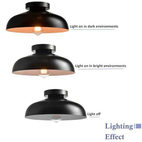 DIRYZON 12-Inch Industrial Ceiling Light Fixture,Black Bedroom Ceiling Light,Metal Ceiling Lighting for Hallway Kitchen