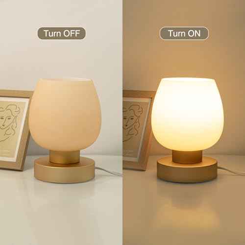 Touch Bedside Table Lamp Set of 2 - Small Modern Table Lamp for Bedroom Living Room Nightstand, 3-Way Dimable Desk lamp with Desert Titanium Color Glass Lamp Shade, 2700K LED Bulb, Simple Design