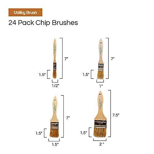 Vermeer Chip Paint Brushes - 24-Pack Chip Brushes in Assorted Sizes for Paints, Stains, Varnishes, Glues, & Gesso - Home Improvement - Interior & Exterior Use