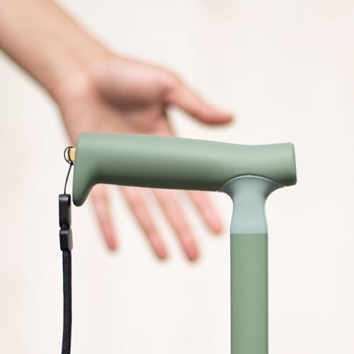 Michael Graves Streamline Cane