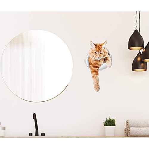 Winston & Bear 2 Pack Climbing Ginger Cats Wall Decals - 3D Car Window & Bumper Sticker - Orange Cat Toilet Sticker - Retail Packaged Orange Cat Lover Gift