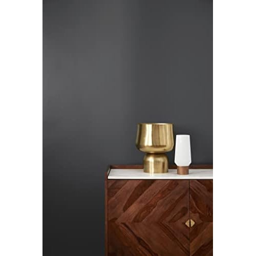 KILZ TRIBUTE Paint & Primer, Interior, Color Sample, Deep Onyx, 8 Ounces