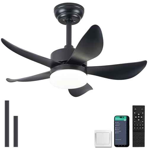 Ceiling Fans with Lights and Remote,30 Inch Smart Ceiling Fan,Reversible,Noiseless,Small Black Ceiling Fan for Bedroom Kitchen Indoor/Outdoor Patio