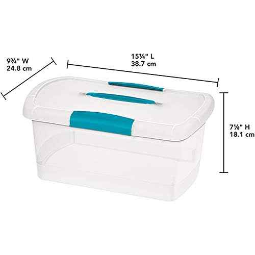 STERILITE Art Furniture and Storage, Pack of 1, Multi