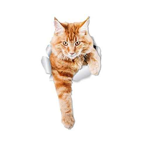 Winston & Bear 2 Pack Climbing Ginger Cats Wall Decals - 3D Car Window & Bumper Sticker - Orange Cat Toilet Sticker - Retail Packaged Orange Cat Lover Gift