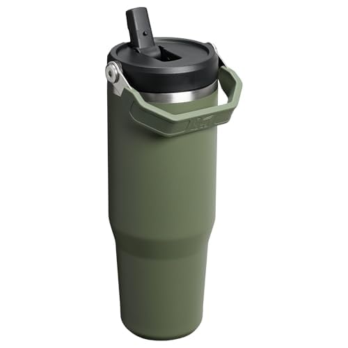 STANLEY IceFlow 2.0 Flip Straw Tumbler with Handle 30 oz | Twist On Lid and Flip Up Straw | Leak Resistant Water Bottle | Insulated Stainless Steel | BPA-Free | Dried Pine