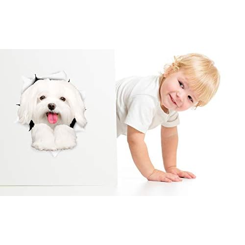 Winston & Bear 3D Dog Stickers - 2 Pack - Cute Maltese Dog Decals for Wall, Fridge, Toilet and More - Retail Packaged Maltese Stickers