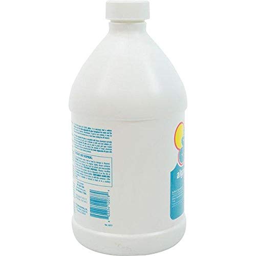 In The Swim Algaecide 60 Plus for Swimming Pools - Non-Metallic, Low Odor, Non-Foaming Algae Bloom Preventative - Chlorine Sanitizer Compatible - 1 Gallon