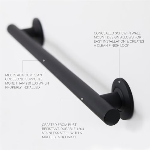 Seachrome 12-inch Coronado Designer Straight Bathroom Shower Grab Bar, Stainless Steel, Matte Black