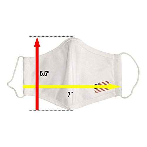 Primeware Protective Reusable Face Mask 2 Layers Cloth Mask (Pack of 2) (Ornate Floral)