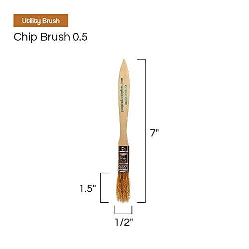 Vermeer Chip Paint Brushes - 24-Pack - 1/2" Chip Brushes for Paints, Stains, Varnishes, Glues, & Gesso - Home Improvement - Interior & Exterior Use