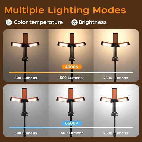 Rechargeable LED Work Light with Stand, 67" Tall Portable Cordless Work Light, 8AH Battery, 500/1500/2500 Lumen, 4000/6500K Dimmable Camping Light with Detachable Tripod Orange (Carrying Bag Included)