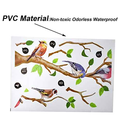 Maydahui Little Birds on Tree Branches Wall Decal Vinyl Wall Sticker (34 x 34 Inch) Removable Peel and Stick Art Murals Decor for Bedroom Offices Classroom Living Room Background
