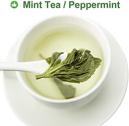 Plant Gift 100% Peppermint Tea, Mint Tea, Peppermint Leave, Health Tea, Organic Peppermint Tea Bags, Health Flower, Peppermint Tea 20g/0.7oz