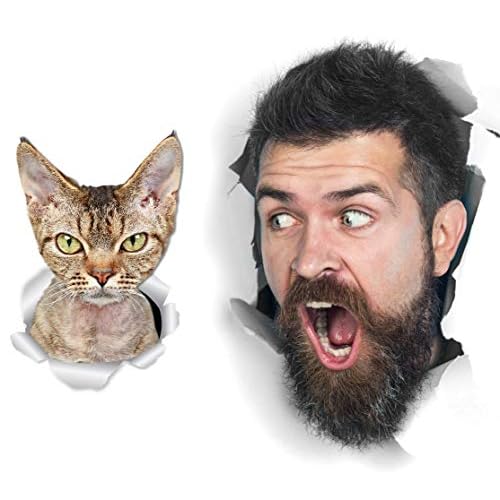 Winston & Bear Grumpy Rex Cat Wall Decals - 2 Pack - Grumpy Rex Cat Toilet Sticker ? 3D Cat Car Window and Bumper Sticker - Retail Packaged Cat Lover Gifts