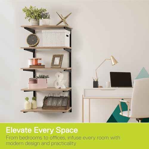 Minimalistic Black Shelf Brackets by Delta Cycle, Set of 10 Fully Adjustable 12-inch Heavy Duty Shelf Brackets, Holds Up to 480 lbs, Modern Shelf Bracket for Wood Shelves
