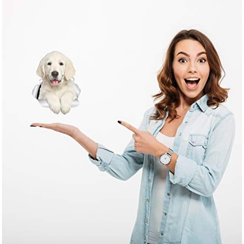 Winston & Bear Gorgeous Golden Retriever Dog Wall Decals - 2 Pack - 3D Sticker Decals for Walls, Cars, Toilet and More - Retail Packaged Golden Retriever Gifts