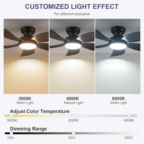 PHORUS 42" Black Low Profile Ceiling Fans with Lights and Remote,Small Flush Mount Ceiling Fans with Quiet Reversible DC Motor, Dimmable 3 CCT